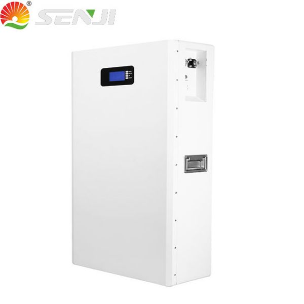 senji energy storage battery Wall mounted battery pack-51.2V 200Ah 51.2V 100Ah