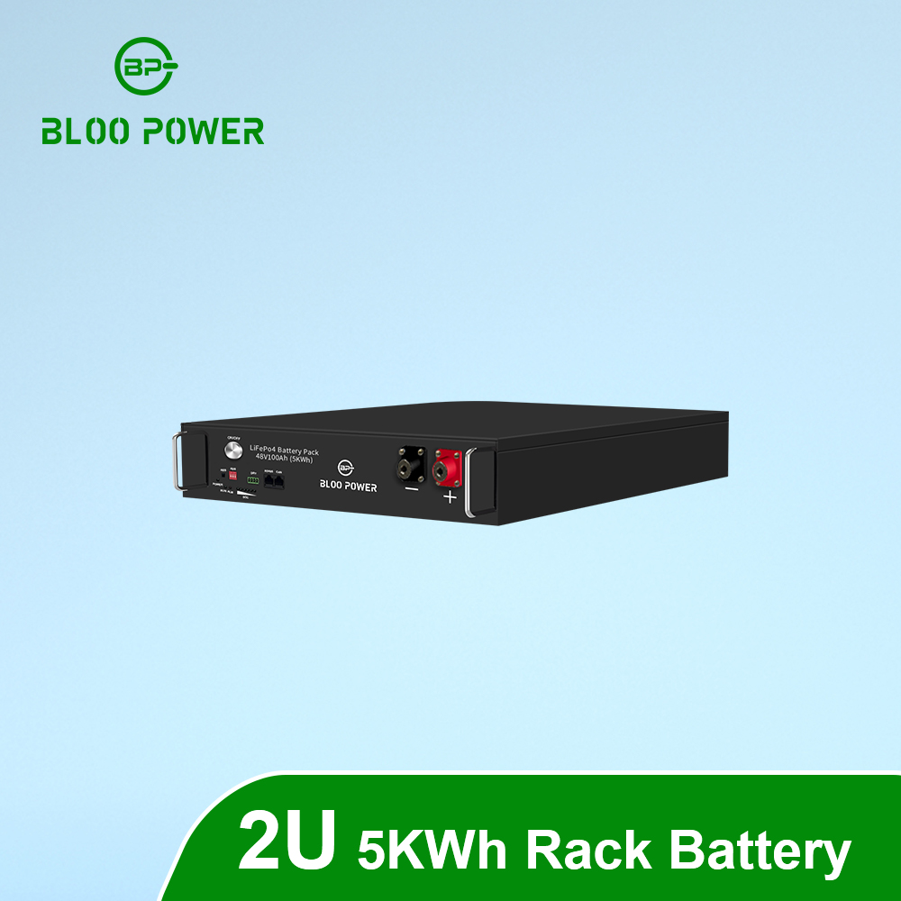 48V 5KWh Rack Mount Lifepo4 Lithium ion Phosphate Battery 2U With Solar Energy Storage System