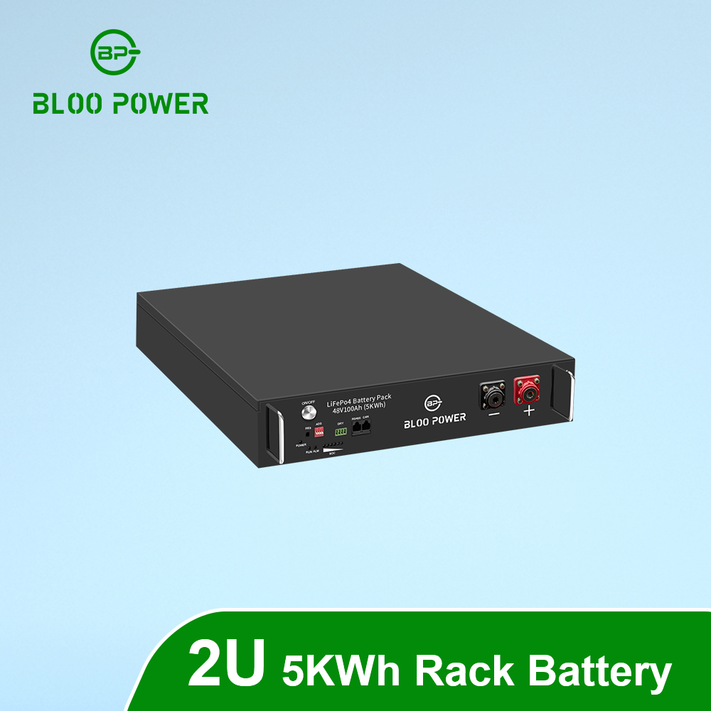48V 5KWh Rack Mount Lifepo4 Lithium ion Phosphate Battery 2U With Solar Energy Storage System