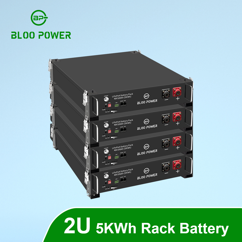48V 5KWh Rack Mount Lifepo4 Lithium ion Phosphate Battery 2U With Solar Energy Storage System