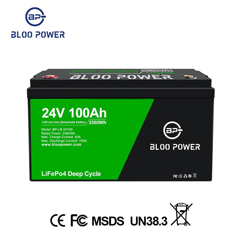 24V 100Ah 200Ah 300Ah Batterie Lithium ion Lifepo4 Battery With Grade A Battery Cells