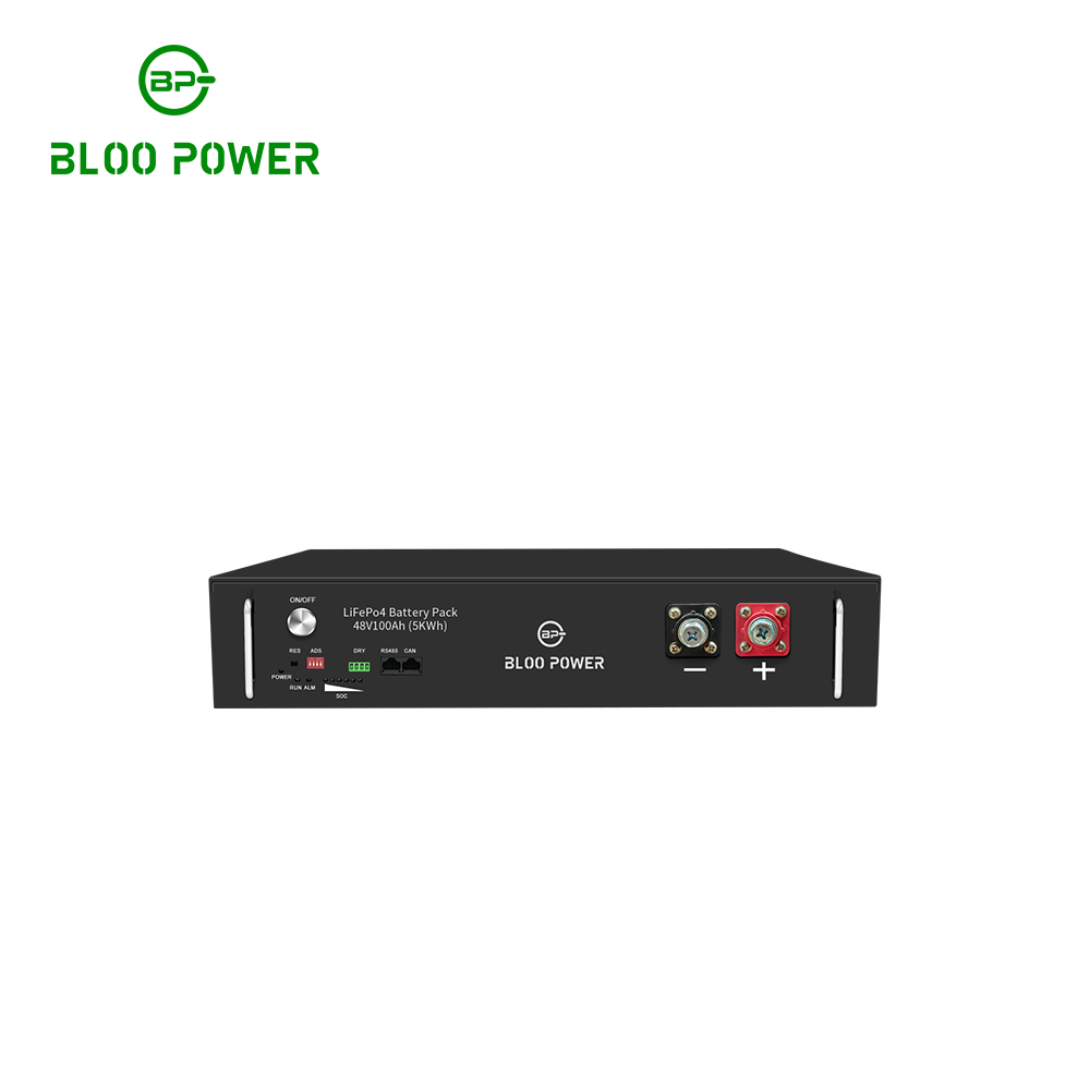 48V 5KWh Rack Mount Lifepo4 Lithium ion Phosphate Battery 2U With Solar Energy Storage System