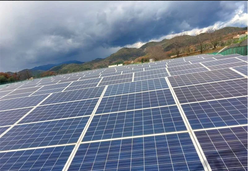 High-Efficiency Solar Panels 245W-265W for Residential and Commercial Use Xindun