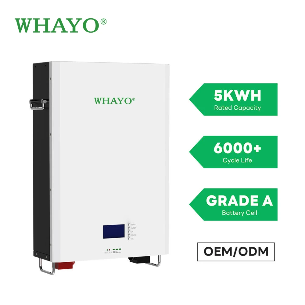 5kW-10kW Wall-Mounted LiFePO4 Battery - 48V/100Ah-200Ah for Residential & Commercial Solar Energy Storage - Whayo