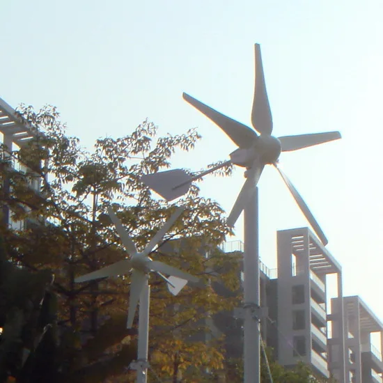 600W 24V Electromagnetic Blade Aerodynamic Braking Small Wind Turbine | MAX-600W SUNNING