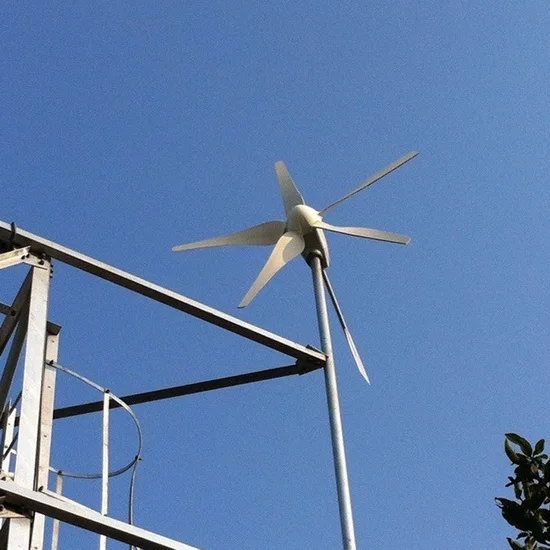 600W 24V Electromagnetic Blade Aerodynamic Braking Small Wind Turbine | MAX-600W SUNNING