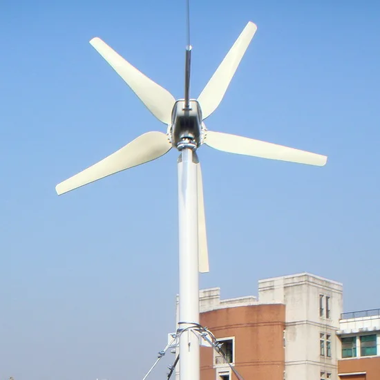 600W 24V Electromagnetic Blade Aerodynamic Braking Small Wind Turbine | MAX-600W SUNNING