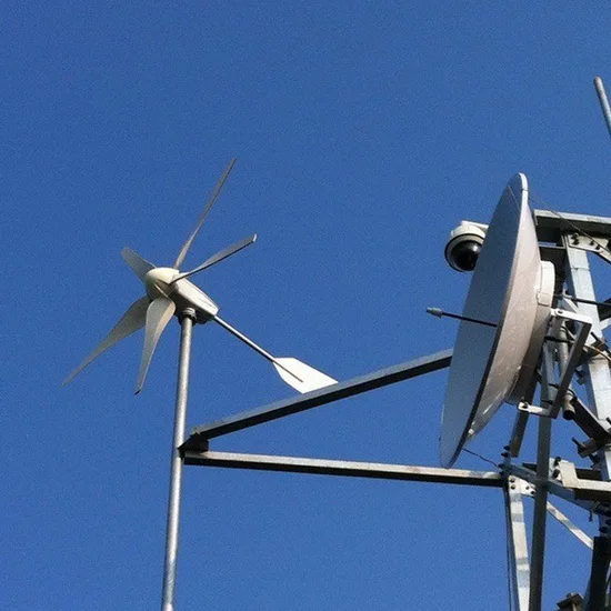 600W 24V Electromagnetic Blade Aerodynamic Braking Small Wind Turbine | MAX-600W SUNNING