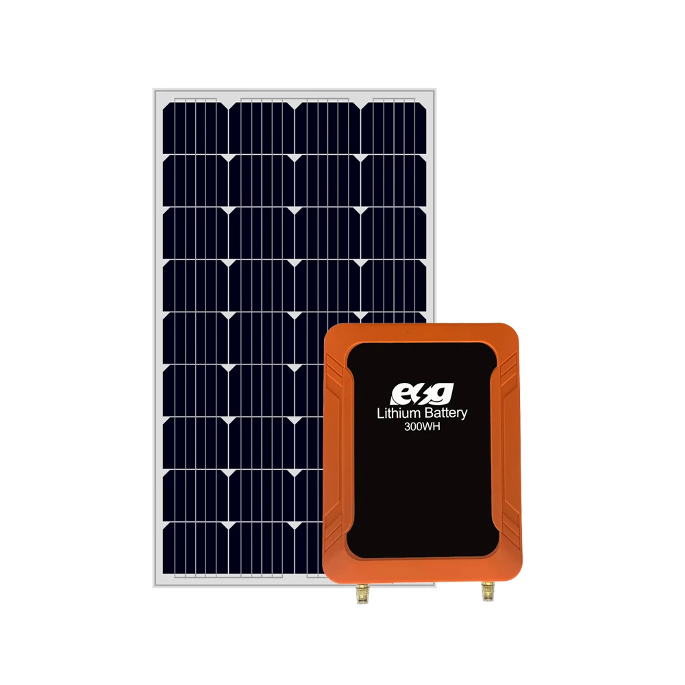 300W Portable Solar Energy System | Complete AC/DC Power Solution | ESG