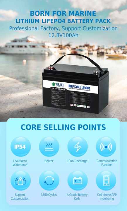 12V 100Ah LiFePO4 Battery Pack Deep Cycle Long Life 6000 Cycles Built-in BMS Solar Energy Storage System for Home RV Boat Elite
