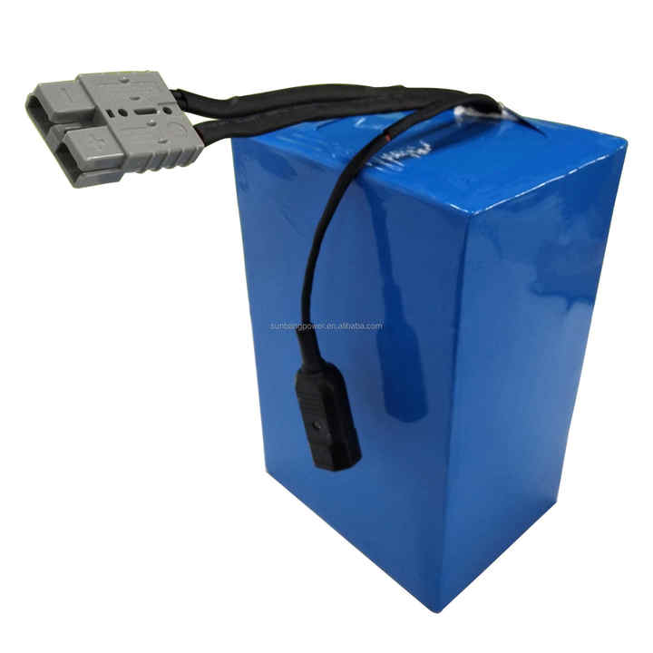 Lithium Ion Battery 36V 48V 60V 72V 20Ah 30Ah 40Ah 45Ah 50Ah High-Capacity Energy Storage for Electric Bicycles Tricycles Motorcycles SUNBOND