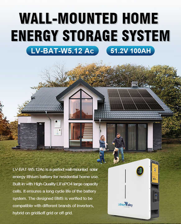 48V 51.2V 10kWh Power Wall Wall-mounted LiFePO4 Battery 6000 Cycle Energy Storage System for Home & Commercial Use LithiumValley