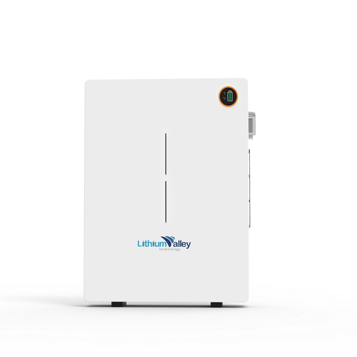 48V 51.2V 10kWh Power Wall Wall-mounted LiFePO4 Battery 6000 Cycle Energy Storage System for Home & Commercial Use LithiumValley