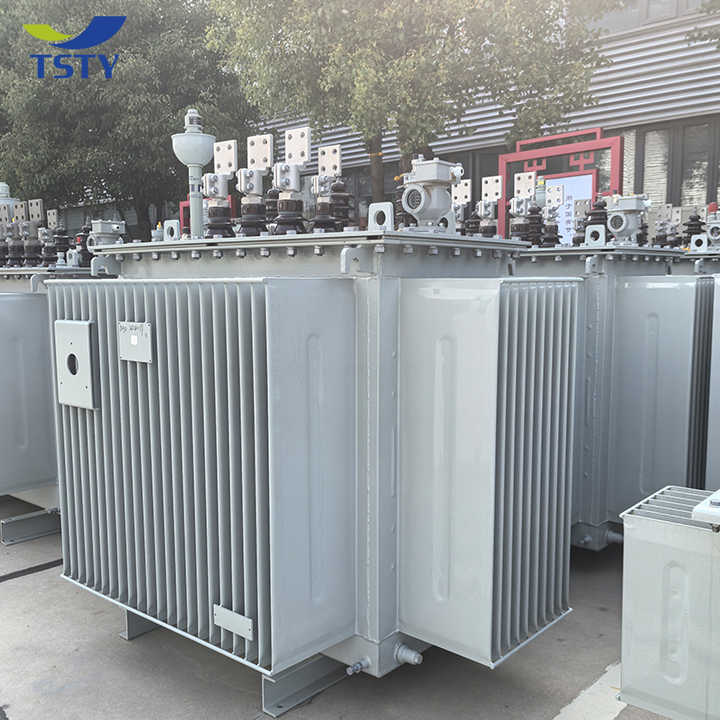 Oil-Immersed Power Transformer 3 Phase 6kV 10kV 25kV 100kVA 400kVA 200kVA High Efficiency Distribution Transformer TSTY