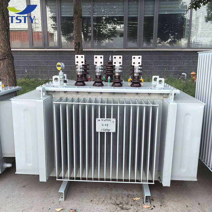 Oil-Immersed Power Transformer 3 Phase 6kV 10kV 25kV 100kVA 400kVA 200kVA High Efficiency Distribution Transformer TSTY