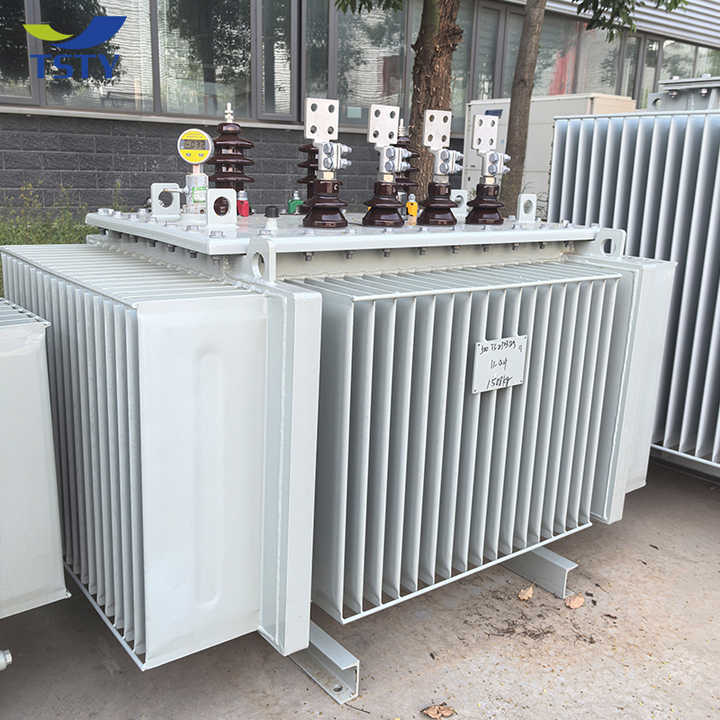 Power Transformer Oil-Immersed Transformer Distribution Transformer High Quality Durable Reliable for Industrial Electronic Applications TSTY