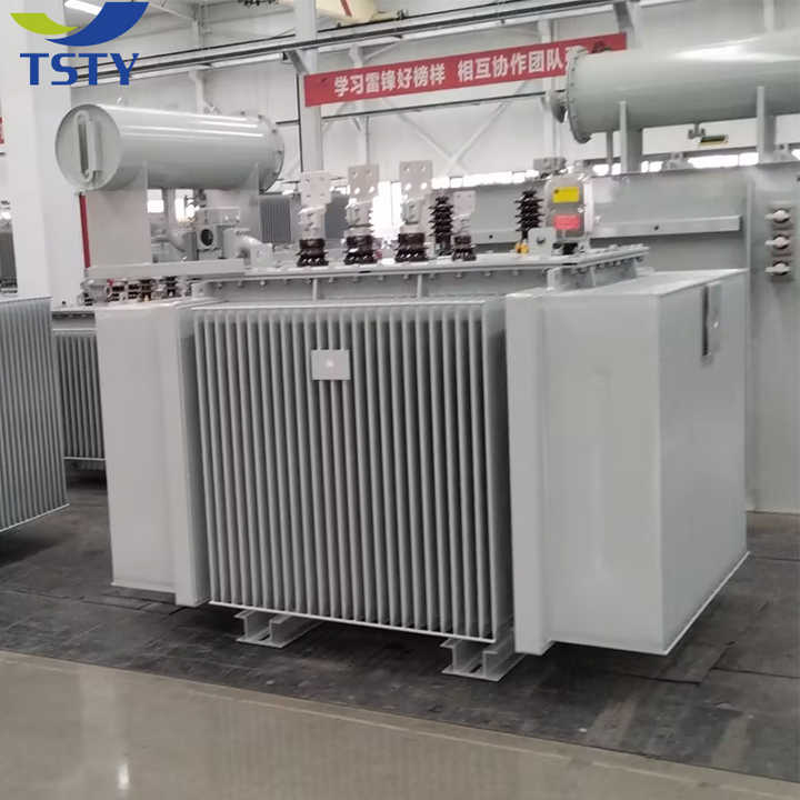 Three Phase Oil Immersed Power Transformer 630KVA-2000KVA 6KV-11KV Distribution Transformer for Energy & Power Applications TSTY