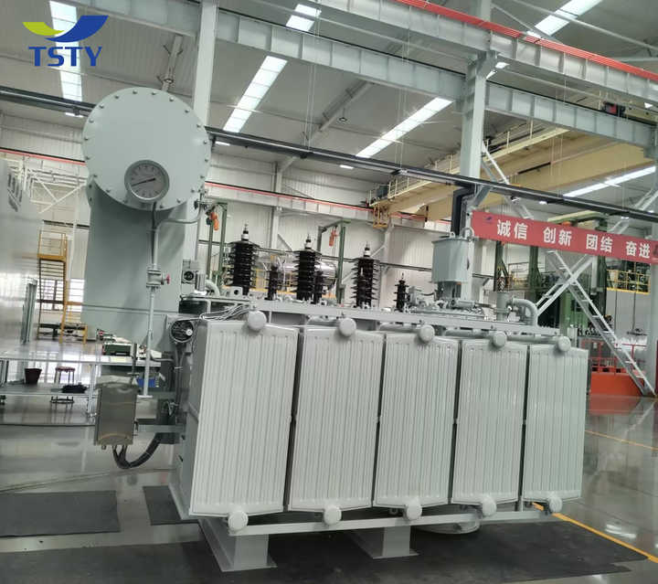 Custom Three-phase Oil-Immersed Distribution Transformer 35kV 2500kVA for Power Grid and Industrial Applications TSTY