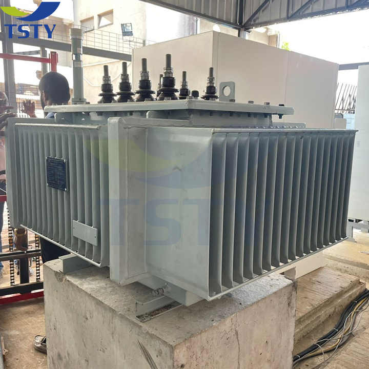 Oil-Immersed Power Transformer 3 Phase 6kV 10kV 25kV 100kVA 400kVA 200kVA High Efficiency Distribution Transformer TSTY