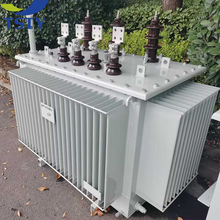 Three Phase Transformer 15kV/400V Oil-Immersed Electrical Transformer for MV HV Power Distribution TSTY