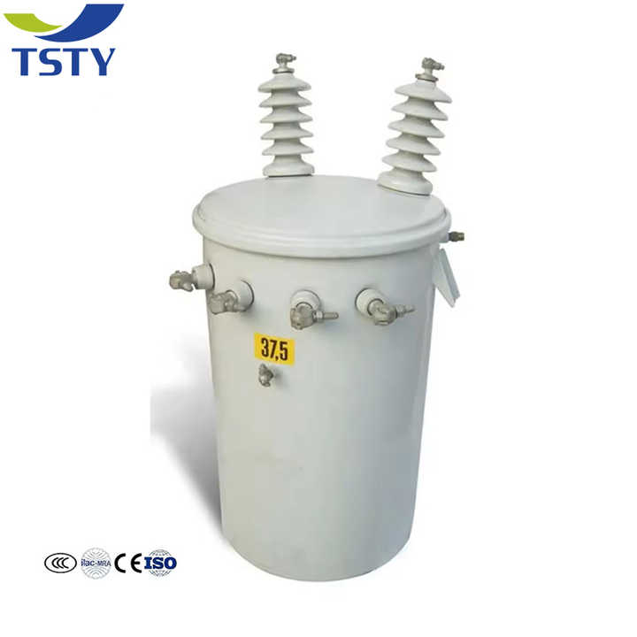 Single Phase Pole Mounted Transformer Oil-Filled Distribution Power System 50Hz/60Hz Toroidal Coil TSTY