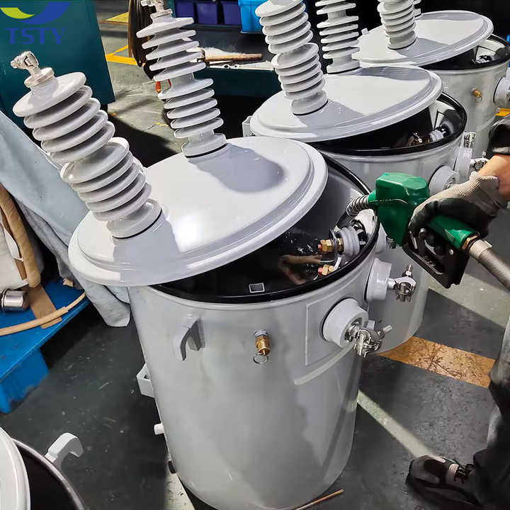 Single Phase Pole Mounted Transformer Oil-Filled Distribution Power System 50Hz/60Hz Toroidal Coil TSTY