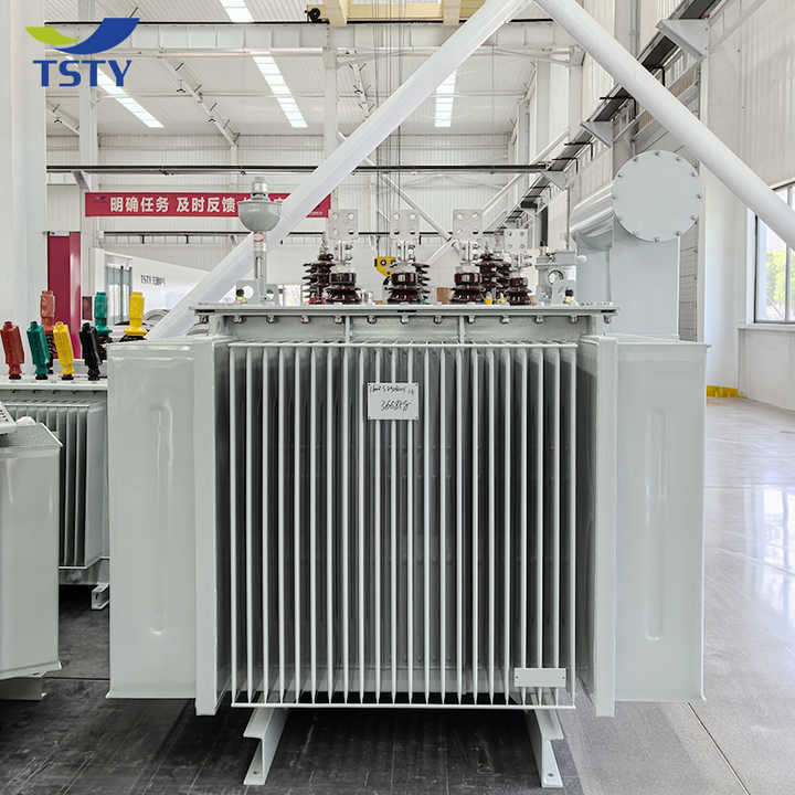 Three Phase Oil Immersed Power Transformer 630KVA-2000KVA 6KV-11KV Distribution Transformer for Energy & Power Applications TSTY