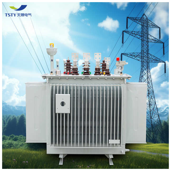 Oil-Immersed Distribution Transformer 400kVA-1500kVA High Efficiency Power Transmission for Grid Substation Applications TSTY