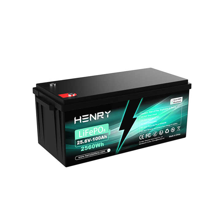 LiFePO4 Battery Pack 25.6V 100Ah High-Cycle Life Energy Storage System for Solar Power and Electric Vehicles HENRY