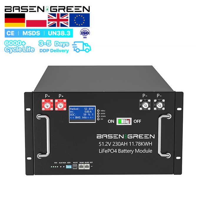 Basen OEM Top Sale 48V 100Ah 200Ah 300Ah Rack Mounted LiFePO4 Battery for Solar Off-Grid Power Supply BASENGREEN