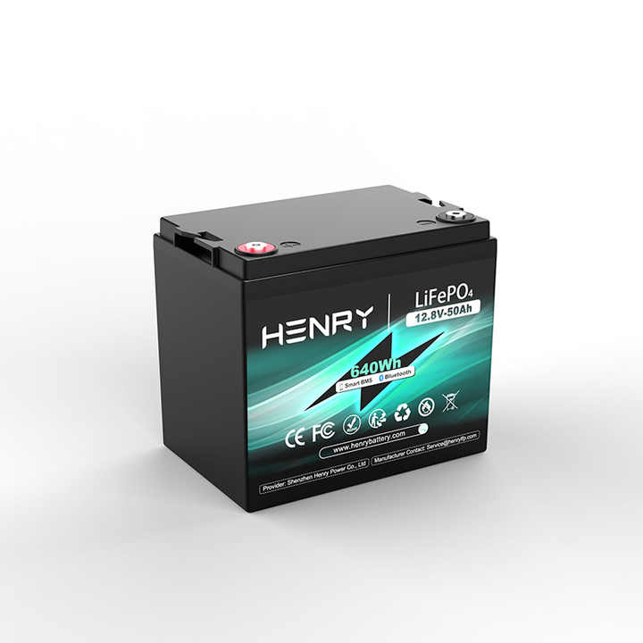 12V 12.8V 50Ah 100Ah 200Ah Solar Rechargeable LiFePO4 Battery Pack for Energy Storage Systems and Electric Vehicles HENRY
