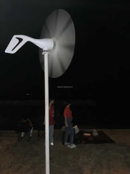 24hour Uninterrupted Power Supply 299 Wind Solar Complementary System Clean Energy for Home Use
