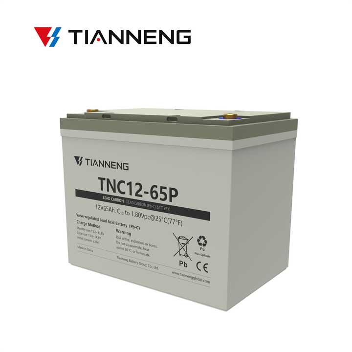 Tianneng TNC 12-65P UPS Battery 12V 65Ah Deep Cycle Sealed AGM for Solar Energy Storage Golf Carts Electric Wheelchairs Lighting Home Appliances