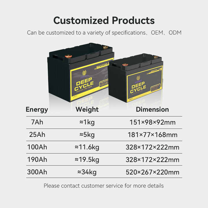 Lithium Iron Phosphate Battery Pack 12V-48V 100Ah 7Ah 24V 120Ah 200Ah 300Ah High-Cycle Life for Electric Vehicles OEM ODM