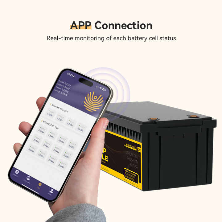 Wirentech 24V 25.6V 200Ah 210Ah Lithium LiFePO4 Battery Long Cycle Life Solar Storage RV Backup System Guangdong