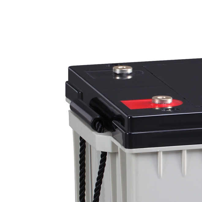 AGM VRLA Battery 12V 170Ah Deep Cycle Sealed Lead Acid Solar Energy Storage System for Home Appliances Power Tools LEOPARD