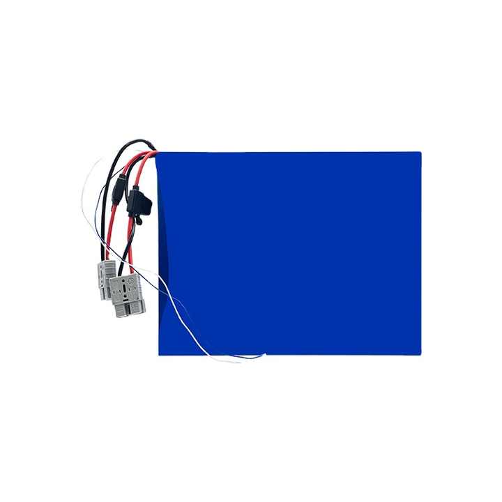 12.8V 100Ah LiFePO4 Battery Pack High-Cycle Life for Consumer Electronics Wintonic