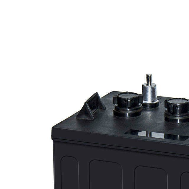6V 180Ah Golf Cart Battery Pack Deep Cycle Long Life for Electric Vehicles Bikes Scooters Power Tools LEOPARD