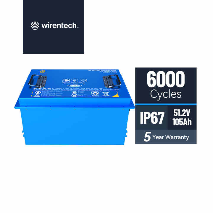 51.2V 50Ah 100Ah 300Ah Lithium Iron Phosphate Battery Pack for Electric Forklift Golf Cart Energy Storage Systems wirentech