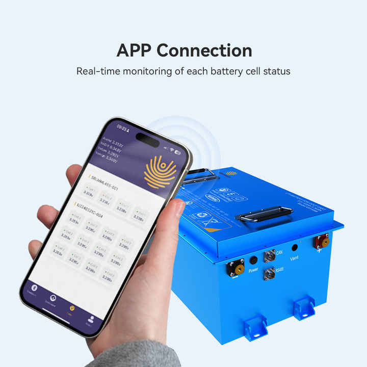 51.2V 50Ah 100Ah 300Ah Lithium Iron Phosphate Battery Pack for Electric Forklift Golf Cart Energy Storage Systems wirentech