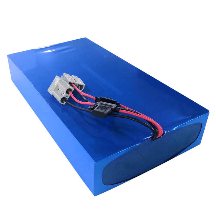 Rechargeable 24V 10Ah LiFePO4 Ebike Battery Pack for Electric Bicycles Power Tools Wintonic