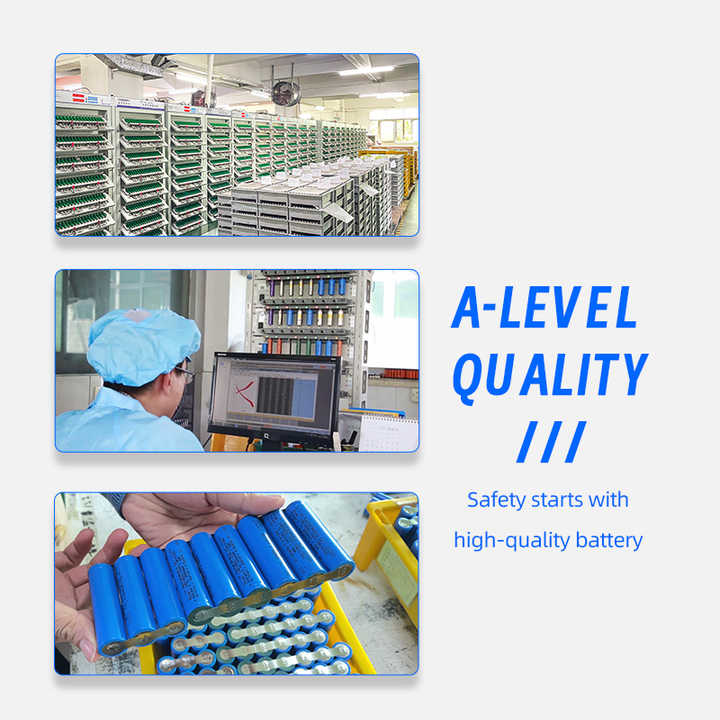 Rechargeable 24V 10Ah LiFePO4 Ebike Battery Pack for Electric Bicycles Power Tools Wintonic