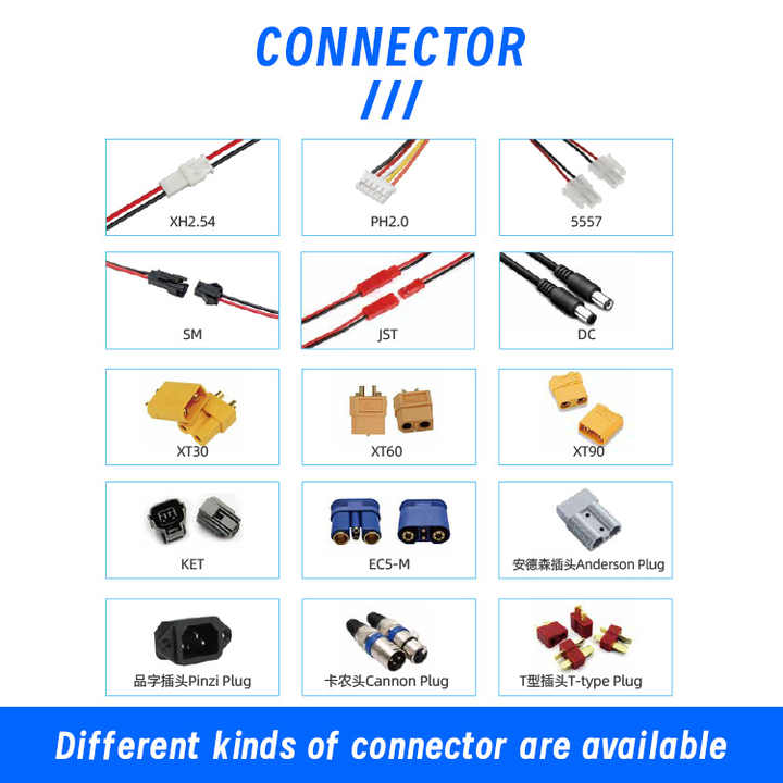 Rechargeable 24V 10Ah LiFePO4 Ebike Battery Pack for Electric Bicycles Power Tools Wintonic