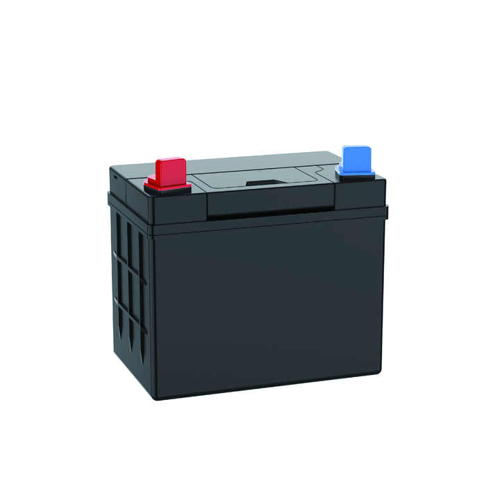 Lead Acid Battery AGM32 24Ah 12V High-Capacity Start-Stop Battery for Lawn Mowers DYVINTY