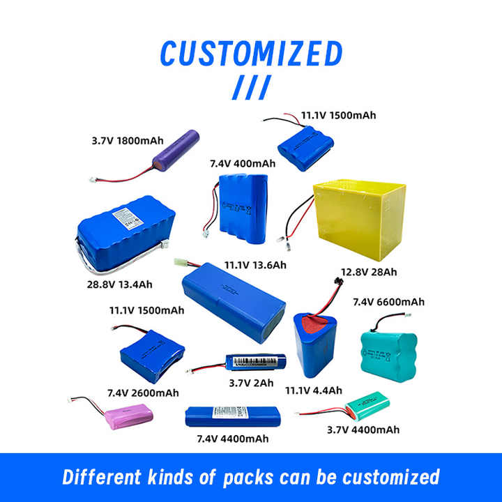 Rechargeable 24V 10Ah LiFePO4 Ebike Battery Pack for Electric Bicycles Power Tools Wintonic
