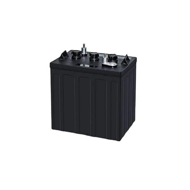 6V 180Ah Golf Cart Battery Pack Deep Cycle Long Life for Electric Vehicles Bikes Scooters Power Tools LEOPARD