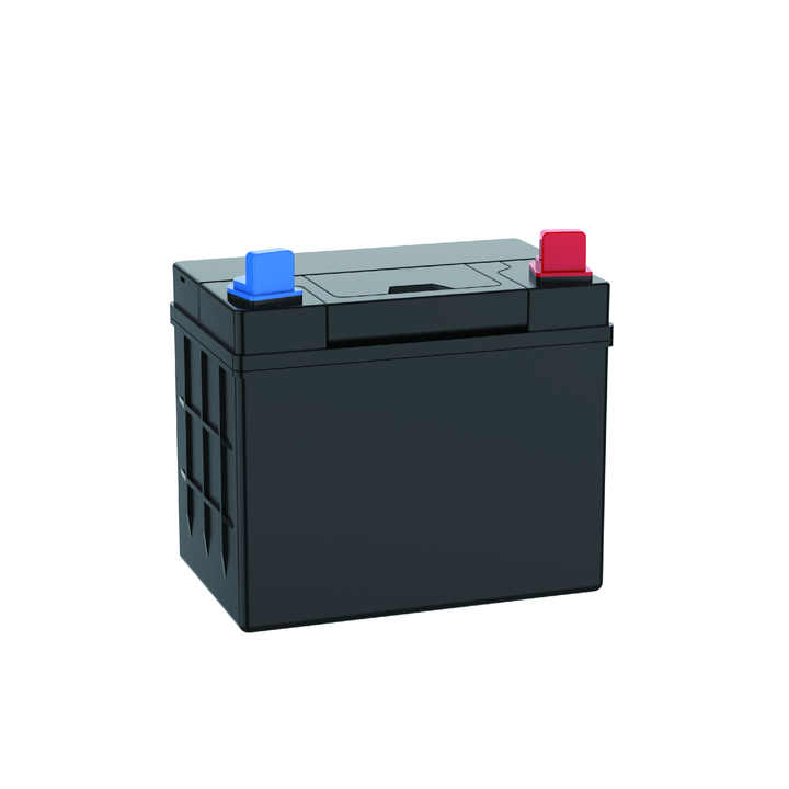 Lead Acid Battery AGM32 24Ah 12V High-Capacity Start-Stop Battery for Lawn Mowers DYVINTY