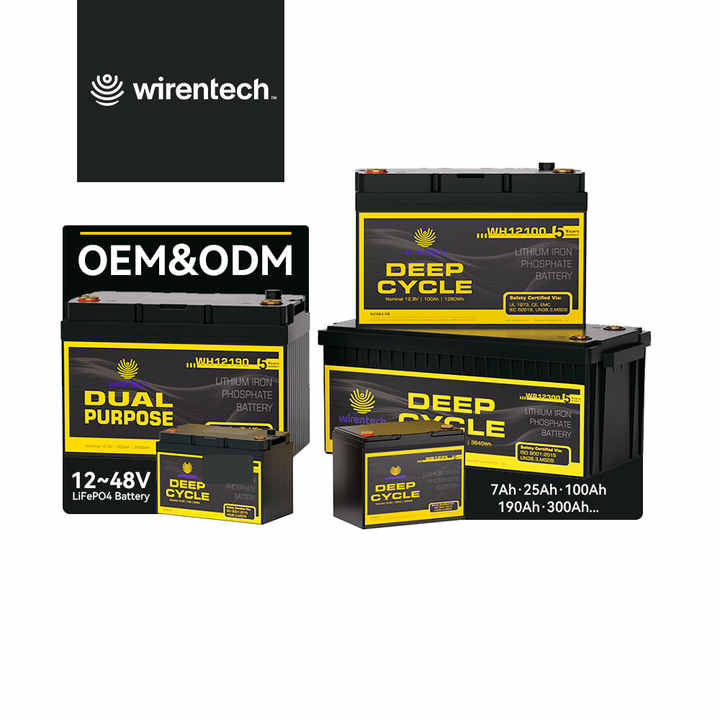 Lithium Ion Battery Pack 12V 24V 36V 48V 7Ah 100Ah Long Cycle Life 6000 Cycles for Power Tools Medical Equipment Drones Wirentech