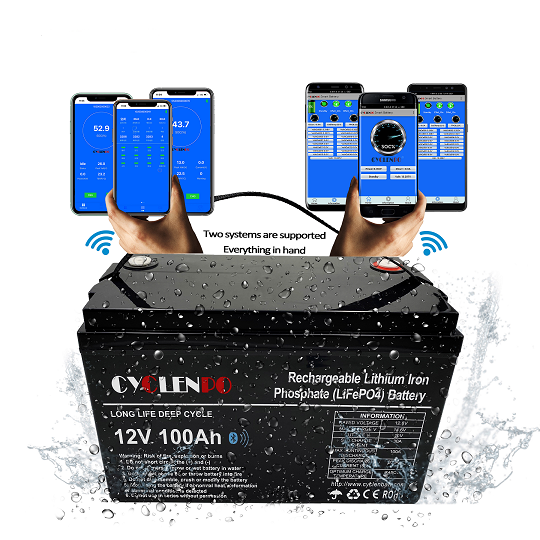 LiFePO4 12V 100Ah Battery 4000 Cycles Solar Energy Storage System for Electric Vehicles cyclenpo
