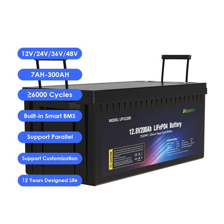 Lithium Battery 12V 200AH Deep Cycle LiFePO4 Battery 4S1P 12.8V 2560WH for Solar Energy Storage Systems Delong